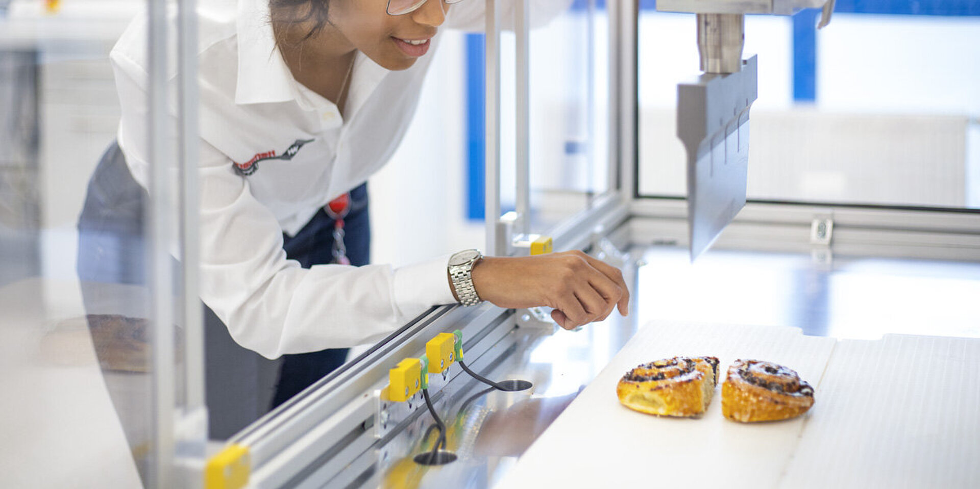 研究室でポピーのロール菓子を切る実験